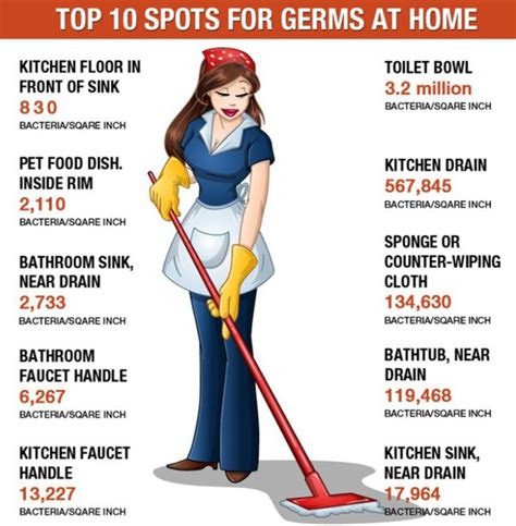 House Cleaning in Tampa, FL